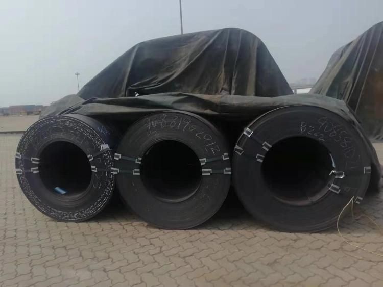 Prime Hot Rolled Steel Coil Hr for Steel Pipe and Sheet Plate to Africa Market