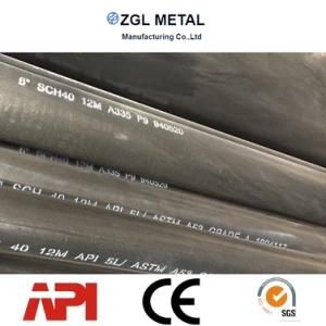 Alloy Seamless Steel Pipe P1, P2, P5, P9, P11, P21, P22, P91 for High-Temperature Service