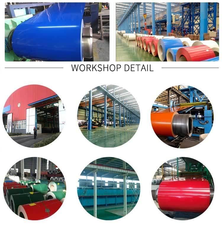 Cold Rolled Zinc Coated Galvanised Iron Sheet Roofing Material Dx51d Z275 DC01 G550 G90 Regular Spangle SGCC Hdgi Hdgl Gl Gi Hot Dipped Galvanized Steel Coil