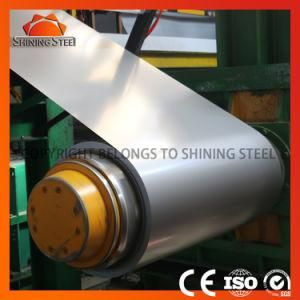 Top Class Grass Patterned Prepainted Steel Coil