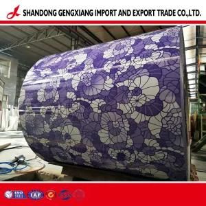 Low Price Galvanizing Prepainted Steel Coil with SGS Certificate