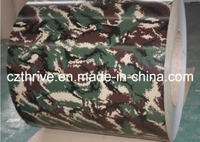 Camouflage Grain PPGI PPGL