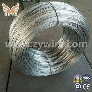 China Zinc Coated Hot Dipped Galvanized Steel Wire