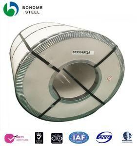 Stainless Steel Coil 304 with Cheaper Price