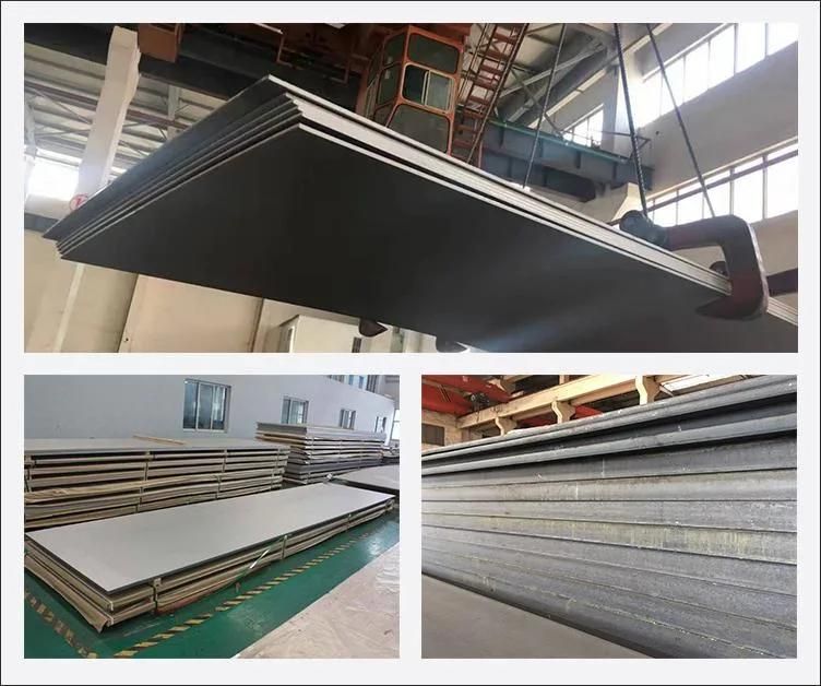 Hot Sale SAE 1020 Galvanized Steel Sheet Roll Mild Steel Plate