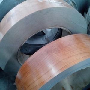 Wood Grain Prepainted Steel Plate/PPGI Prepainted Steel Roofing Sheet