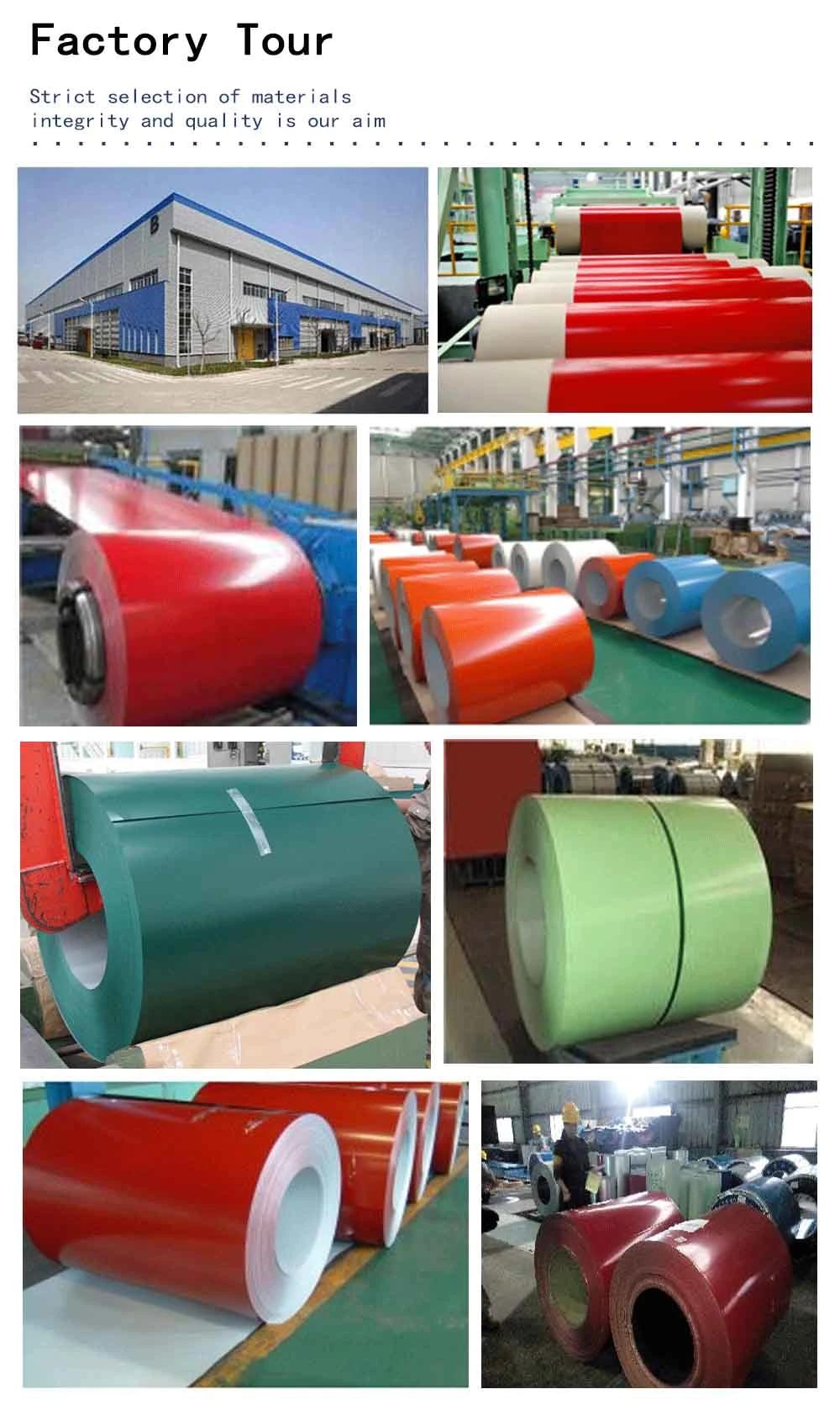 Double Coated Color Painted Metal Roll Paint Galvanized Zinc Coating 0.6mm PPGI PPGL Steel Coil