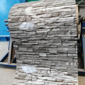 Building Material Cold Rolled Flower Printing Prepainted Coils/Color Zinc Coated Galvanized Steel Coil
