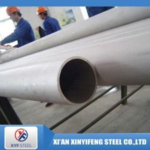 SA 213 Gr 304 304L Stainless Steel Pipe/Tube