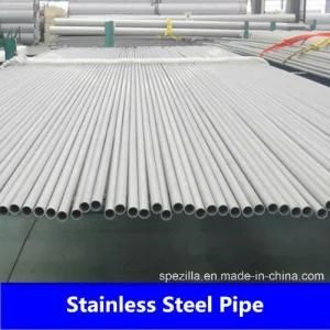 High Quality of Stainless Steel Tube Pipe (304 304L 316 316L 321 310S)