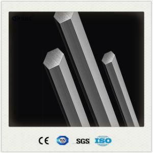AISI Ss 304/304L Round Forged Bar