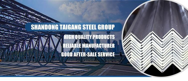 304 316L Steel Profile Stainless Steel Angle