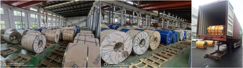 Hot/Cold Rolled Ss 201 304 316L 310S 304L 316 403 405 410 2205 2507 904 904L 430 Tisco Stainless/Galvanized/Aluminum/Carbon Steel Coil
