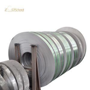 06cr17ni12mo2 316 Ss Strip SUS316 1.4401 Stainless Steel Strips