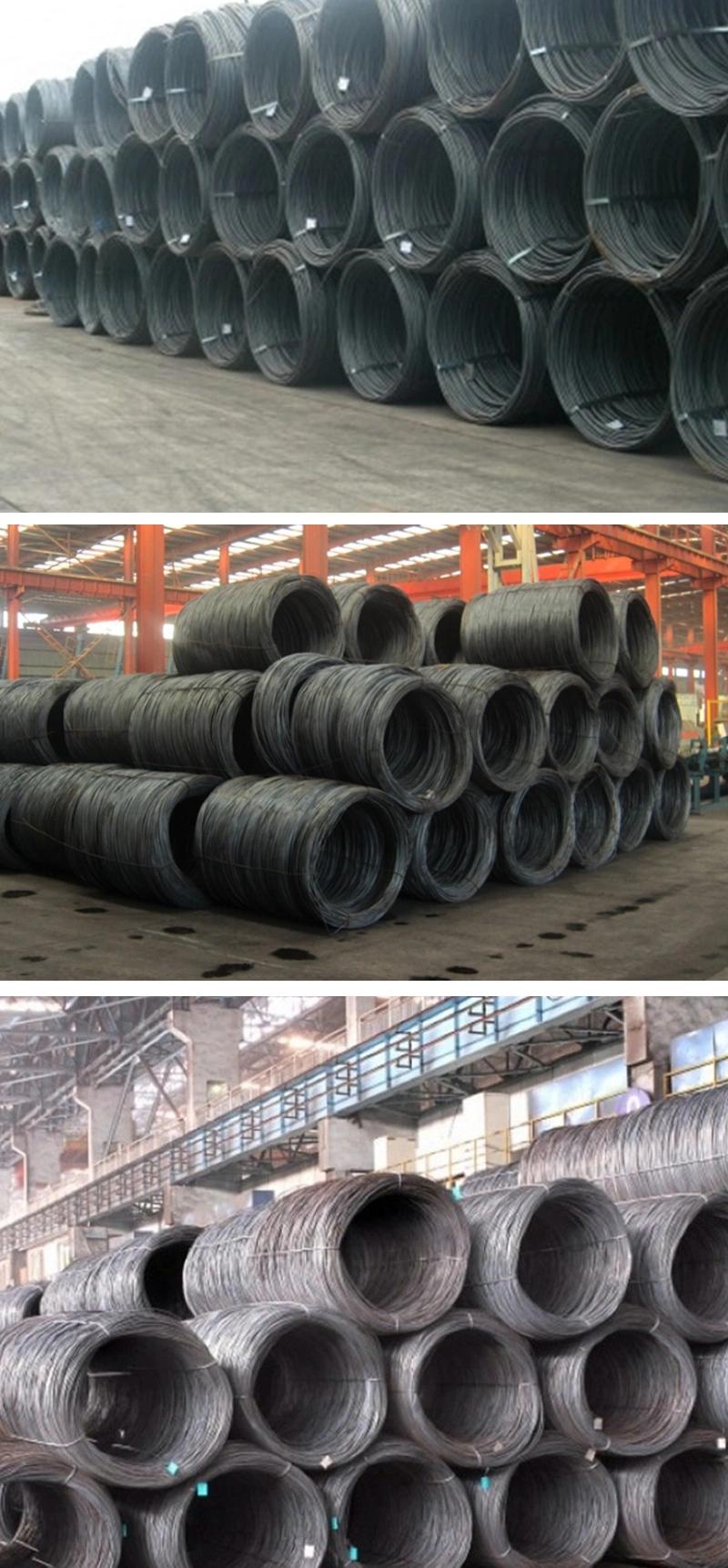 Customized 0.20mm-12.50mm Black Carbon Spring Steel Wire