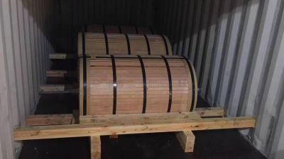 Zero Spangle 0.2mm Color Coated Galvanized Steel Coil