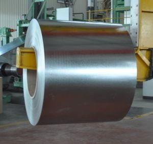 Galvanized Steel Coil/Sheet