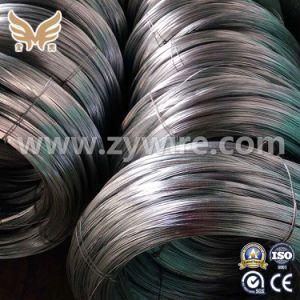 Gauge 16 Hot Dipped Galvanized Steel Wire Made in China