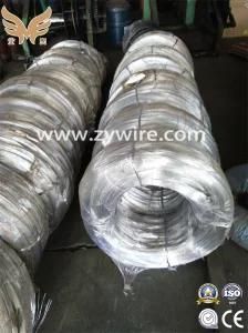 Factory Hot Dipped Galvanized Steel Wire