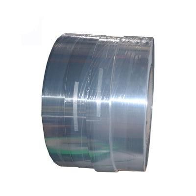 High Quality Hot Rolled Cold Rolled Stainless Steel Strip for Hot Sale