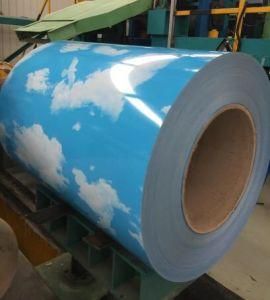Prepainted Steel Sheet Steel Coil PPGI with Follower Colors