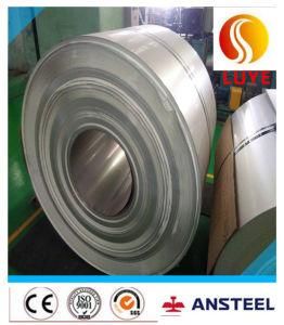 SUS 304 Stainless Steel Coil for Structure