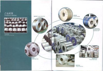 Tinplate Steel Sheet/Roll Coil/Strip (Food &amp; Industry Grade)