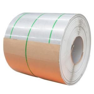 Ss Coil 304 4FT 5FT Width 2b Surface PVC Film