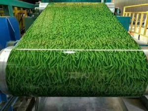 Printed PPGI Roll/Prepainted Galvanized Steel Embossed Gi Steel Sheet Pile Roll