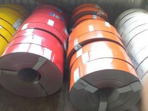 Ral Colour Coated Prepainted Galvanized Steel Coil PPGI PPGL