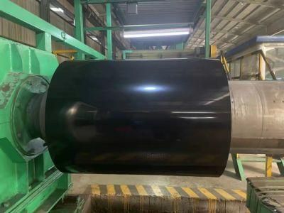 Galvanized Iron Color Coated Prepainted Galvalume Coil PPGI PPGL