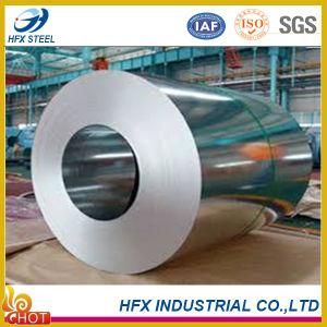 High Quality Galvanized Steel Coil Gi for Building