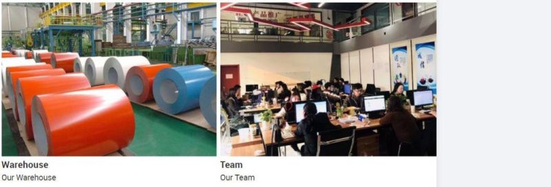ISO Authentication PPGI Prepainted Galvanized Steel Coil for Steel Coil for Construction Materials