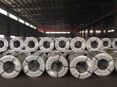 Pre Painted Galvanized Steel Sheet and Coils
