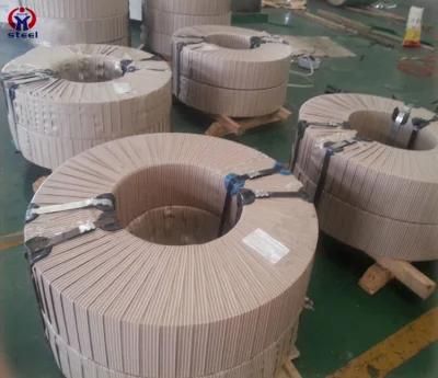 PVC Coated Roofing Material Stainless Steel Coil and Strips 304