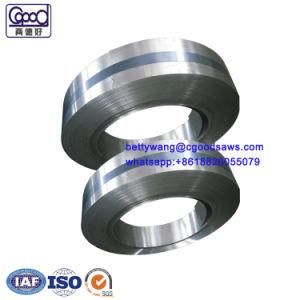 High Quality Customized Carbon Steel Strip
