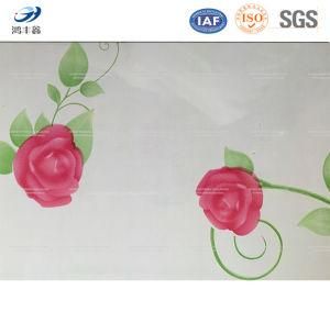 Interior Decoration PPGI/PPGL Steel Coils with Beautiful Flower