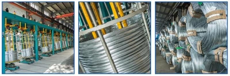 Factory Price 5mm High Tensile Strength Gi Steel Wire