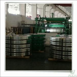 2507 Stainless Steel Csp for Hose Clamps for Building in Strip
