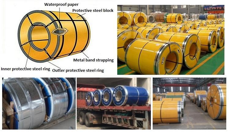 Competitive Price Building Material Stainless Steel Coil