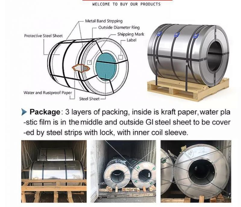 Prepainted/Color Coated/Galvanized/Zinc Coated/Galvalume/Corrugated/Aluminum/Carbon Copper/Ss400/A36/Z275/304/316L/430/904L/Stainless/PPGL/PPGI/Gl/Gi/Steel Coil