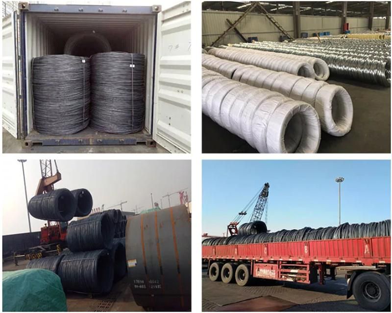 Low Price High Cold Rolling Flat Steel Wire