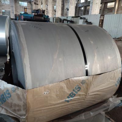 Flat Metal Trim Strips Steel Coil Suppliers Metal Coil Spring