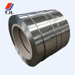 Excellent Quality Stainless Steel 316 2b Strip for Metal Hose, Gasket, Gas &amp; Oil, Electronics
