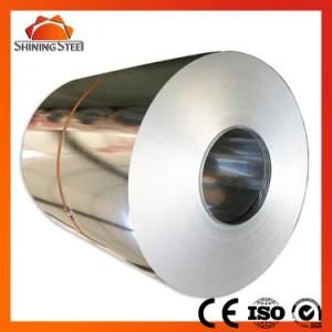 SPCC-1b Galvainzed Steel Coil/Sheet Used for Building Material
