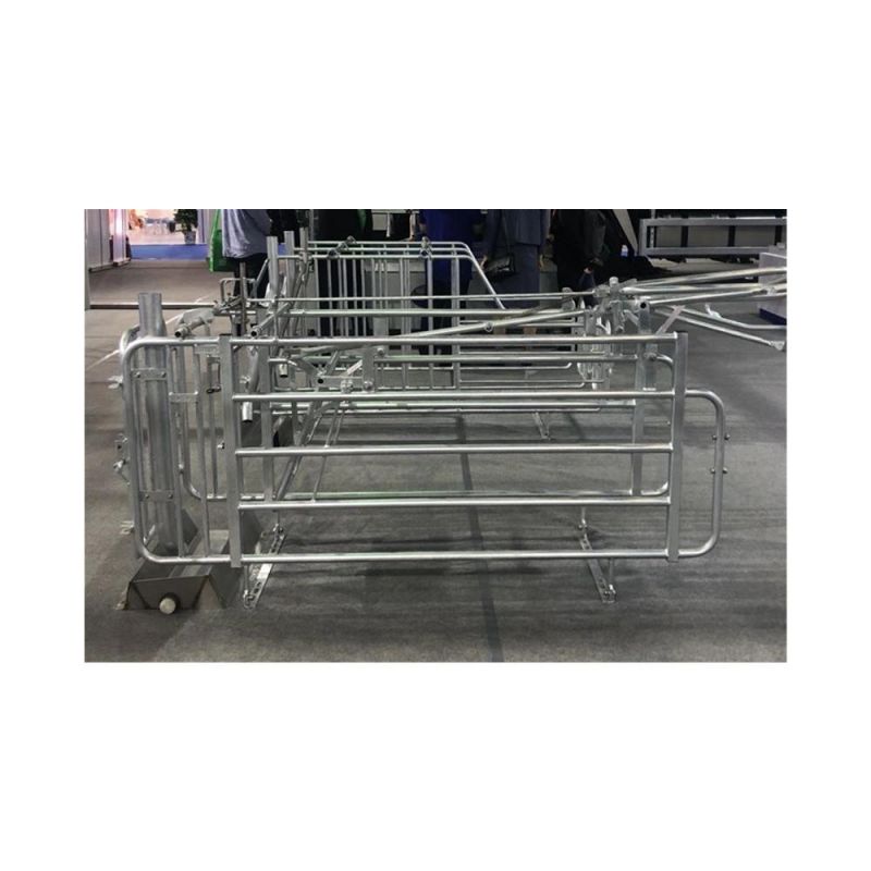 Pig Gestation Crate for Sow Stall Factory Direct Sale Galvanized Cages