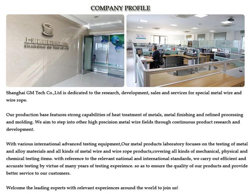 Customizable High Strength Wire Rope Cable Used for High-End Building