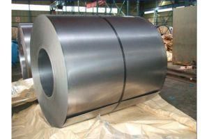 Hot Dipped Galvanized Steel Coil for Building Material