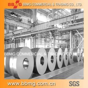 Prime Hot/Cold Rolled Corrugated Roofing Metal Sheet Building Material Hot Dipped Galvanized/Galvalume&Steel Coil