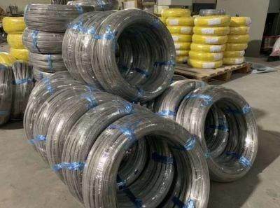Metal/Brass/Cooper/Galvanized/Alloy/ Stainless Steel 304, 316, 304L, 316L Wire